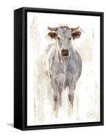 Sunlit Cows I-Danita Delimont-Framed Stretched Canvas