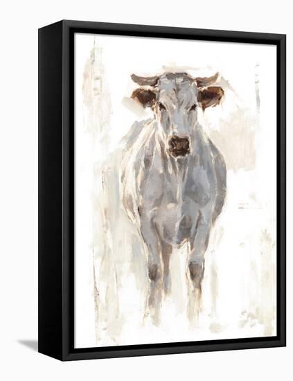 Sunlit Cows I-Danita Delimont-Framed Stretched Canvas