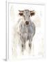 Sunlit Cows I-Danita Delimont-Framed Premium Giclee Print