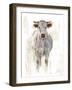 Sunlit Cows I-Danita Delimont-Framed Art Print