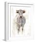 Sunlit Cows I-Danita Delimont-Framed Art Print