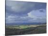 Sunlit Field, Quantocks, September-Tom Hughes-Stretched Canvas