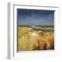 Sunlit Fields-Lisa Ridgers-Framed Art Print