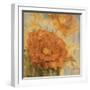 Sunlit Flowers I-Philip Brown-Framed Giclee Print