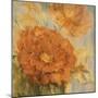 Sunlit Flowers I-Philip Brown-Mounted Giclee Print