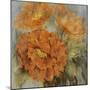 Sunlit Flowers II-Philip Brown-Mounted Giclee Print