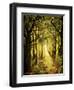 Sunlit Forest Path-Cherie Roe Dirksen-Framed Giclee Print