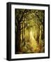 Sunlit Forest Path-Cherie Roe Dirksen-Framed Giclee Print