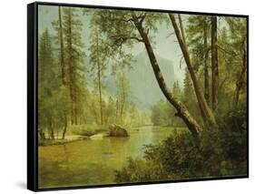 Sunlit Forest-Albert Bierstadt-Framed Stretched Canvas