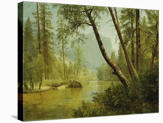 Sunlit Forest-Albert Bierstadt-Stretched Canvas