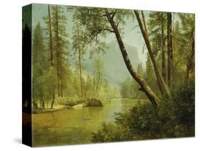 Sunlit Forest-Albert Bierstadt-Stretched Canvas