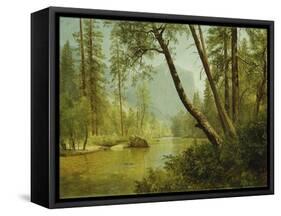 Sunlit Forest-Albert Bierstadt-Framed Stretched Canvas