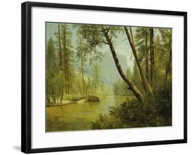 Sunlit Forest-Albert Bierstadt-Framed Giclee Print