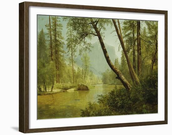 Sunlit Forest-Albert Bierstadt-Framed Giclee Print