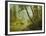 Sunlit Forest-Albert Bierstadt-Framed Giclee Print