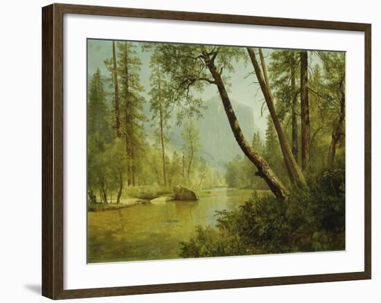 Sunlit Forest-Albert Bierstadt-Framed Giclee Print