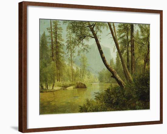 Sunlit Forest-Albert Bierstadt-Framed Giclee Print