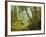 Sunlit Forest-Albert Bierstadt-Framed Giclee Print