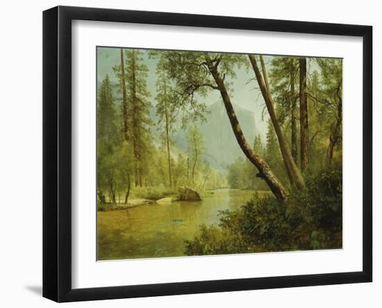 Sunlit Forest-Albert Bierstadt-Framed Giclee Print