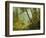 Sunlit Forest-Albert Bierstadt-Framed Giclee Print