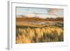 Sunlit Grass and Dunes at Achnahaird Bay and the Mountains of Assynt, North West Scotland-Stewart Smith-Framed Photographic Print