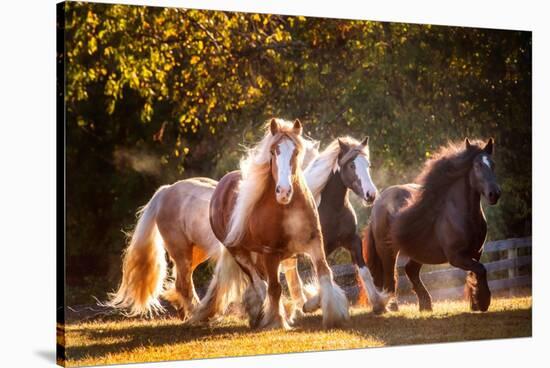 Sunlit Horses III-null-Stretched Canvas