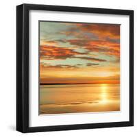 Sunlit I-John Seba-Framed Art Print