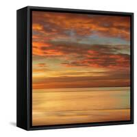 Sunlit II-John Seba-Framed Stretched Canvas