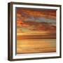 Sunlit II-John Seba-Framed Art Print