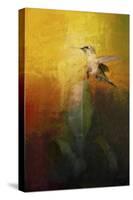 Sunlit Landing-Jai Johnson-Stretched Canvas