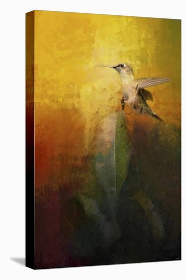 Sunlit Landing-Jai Johnson-Stretched Canvas