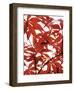 Sunlit Maple 1-Jenny Kraft-Framed Art Print