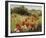 Sunlit Meadow-Mary Dipnall-Framed Giclee Print