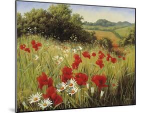 Sunlit Meadow-Mary Dipnall-Mounted Giclee Print