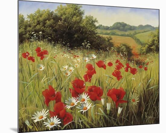 Sunlit Meadow-Mary Dipnall-Mounted Giclee Print