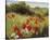 Sunlit Meadow-Mary Dipnall-Stretched Canvas