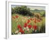 Sunlit Meadow-Mary Dipnall-Framed Premium Giclee Print
