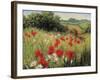 Sunlit Meadow-Mary Dipnall-Framed Premium Giclee Print