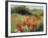 Sunlit Meadow-Mary Dipnall-Framed Premium Giclee Print