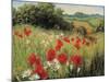 Sunlit Meadow-Mary Dipnall-Mounted Premium Giclee Print