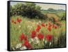 Sunlit Meadow-Mary Dipnall-Framed Stretched Canvas