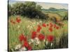 Sunlit Meadow-Mary Dipnall-Stretched Canvas