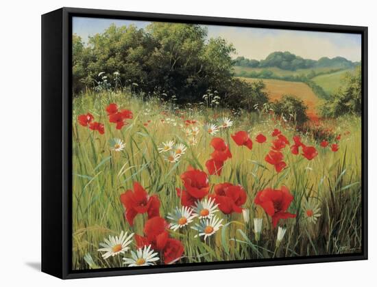 Sunlit Meadow-Mary Dipnall-Framed Stretched Canvas