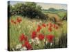 Sunlit Meadow-Mary Dipnall-Stretched Canvas