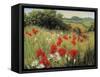 Sunlit Meadow-Mary Dipnall-Framed Stretched Canvas