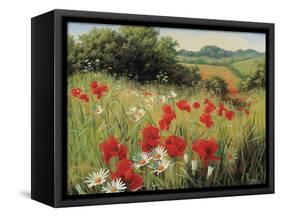 Sunlit Meadow-Mary Dipnall-Framed Stretched Canvas