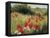 Sunlit Meadow-Mary Dipnall-Framed Stretched Canvas