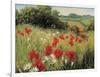 Sunlit Meadow-Mary Dipnall-Framed Art Print