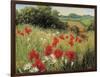 Sunlit Meadow-Mary Dipnall-Framed Art Print