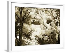 Sunlit Meadows II-Alan Hausenflock-Framed Photographic Print